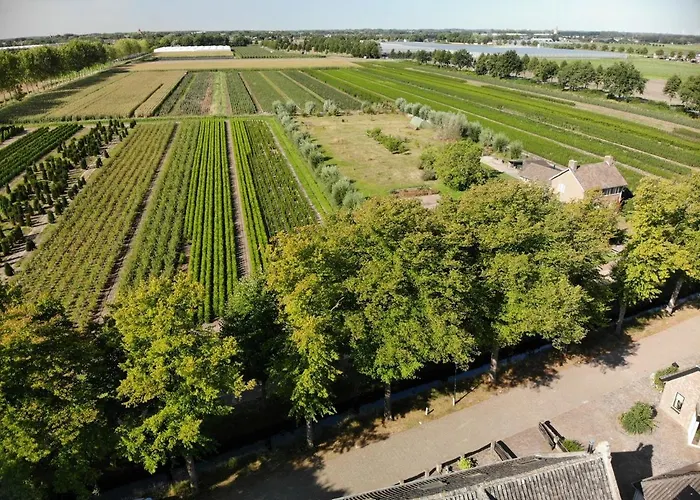 Hofstede Vaart * Dongen